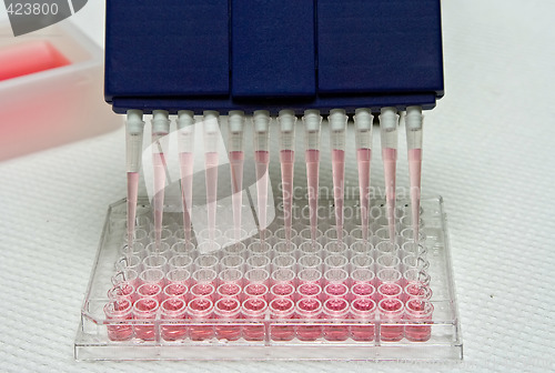 Image of Pipetting experiment