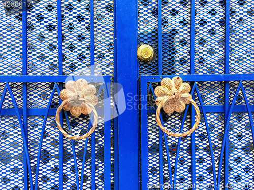 Image of Blue iron gate with ornamental details