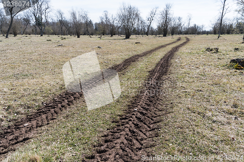 Image of Tractor tracks at springtime