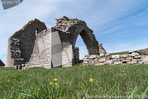 Image of Spring flowers by a ruin