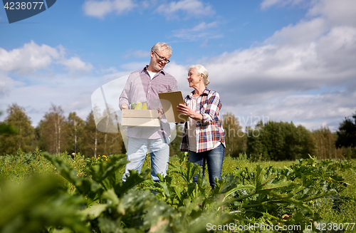 Image of happy senior couple with squashes at farm