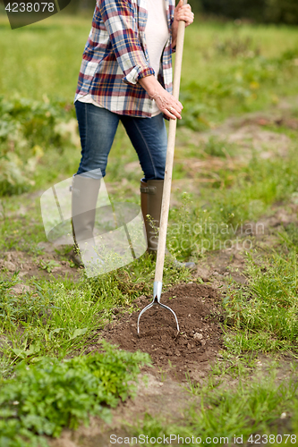 Image of farmer with rearer weeding garden bed at farm