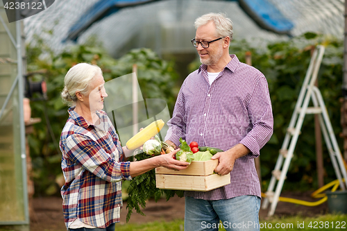 Image of senior couple with box of cucumbers on farm