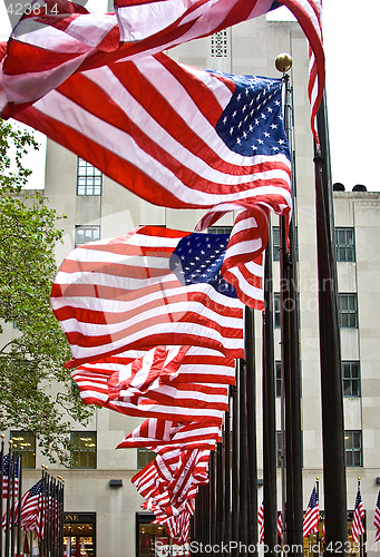 Image of Row of American flags