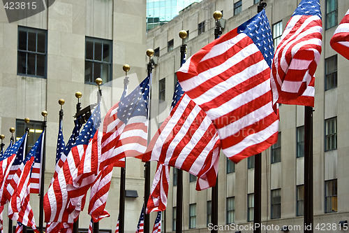 Image of A row of American flags