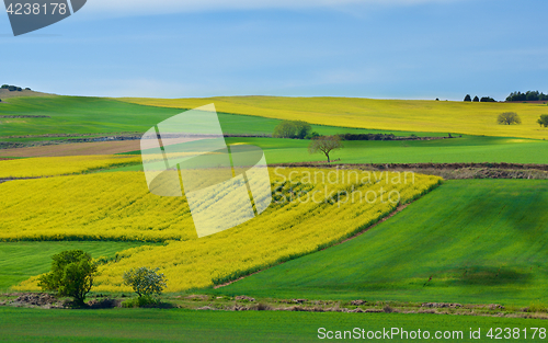 Image of Portuguese Rustic Landscape