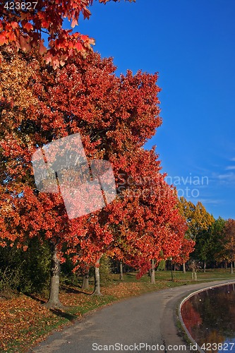 Image of Fall scenery