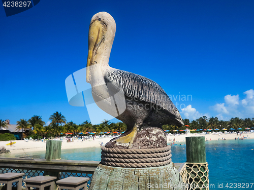 Image of Pelican Stature