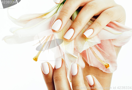 Image of beauty delicate hands with manicure holding flower lily close up isolated on white