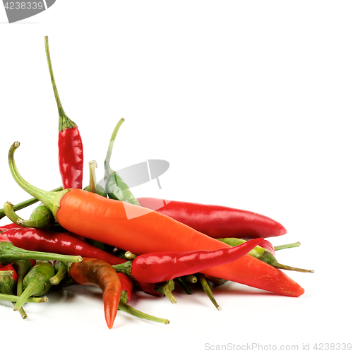 Image of Heap of Chili Peppers