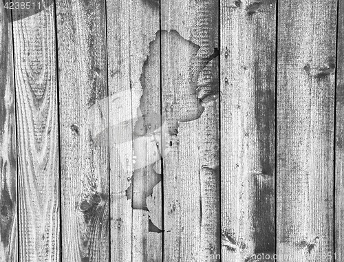 Image of Map of Argentina on weathered wood