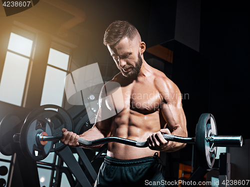 Image of Portrait of super fit muscular young man working out in gym with