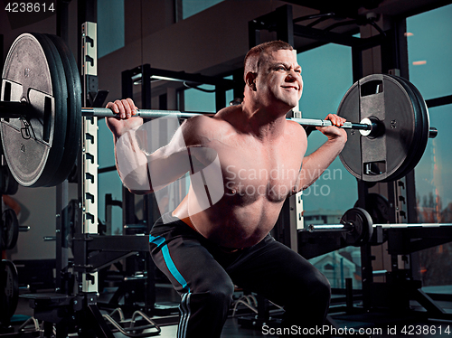 Image of Portrait of super fit muscular young man working out in gym with barbell