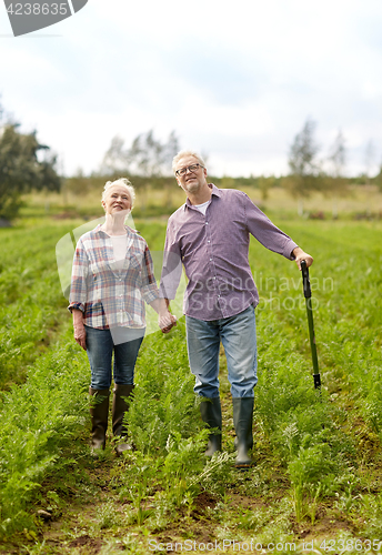 Image of happy senior couple at summer farm