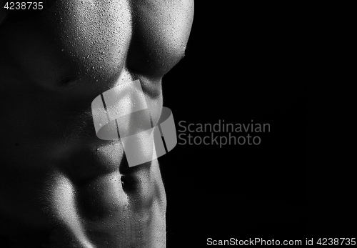 Image of The torso of attractive male body builder on black background.