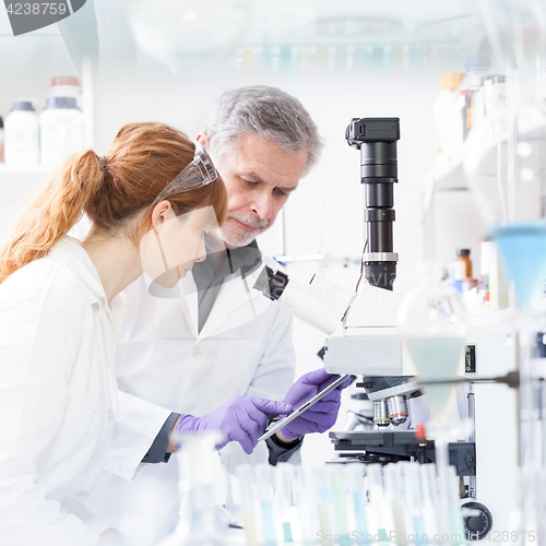 Image of Health care researchers working in scientific laboratory.