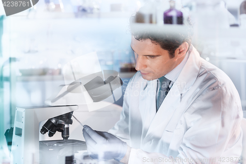 Image of Life scientist researching in the laboratory.