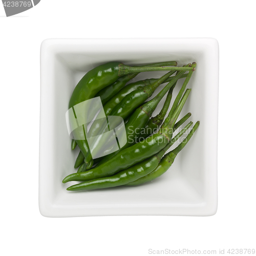 Image of Green chilli