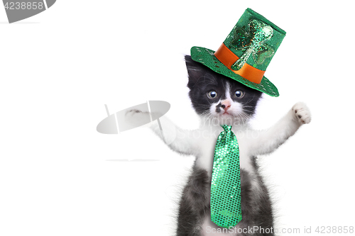 Image of Funny Kitten Celebrating the American Holiday Saint Patricks Day