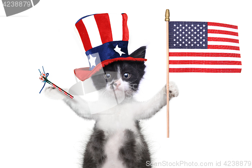 Image of Funny Kitten Celebrating the American Holiday 4th of July