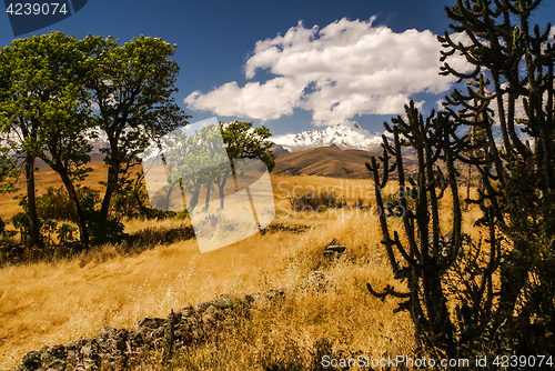 Image of Cordillera Negra in Peru