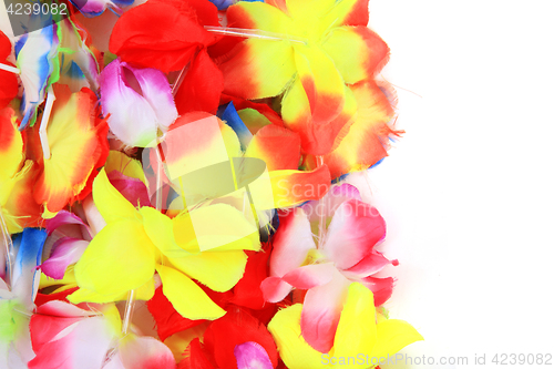 Image of color plastic hawaii flowers background