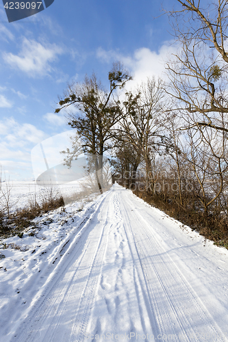 Image of traces of the car on snow