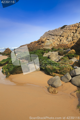 Image of Green stones on the seashore