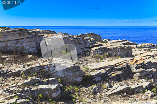 Image of Rocky Coast Extending into the Sea