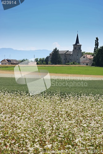 Image of Country church