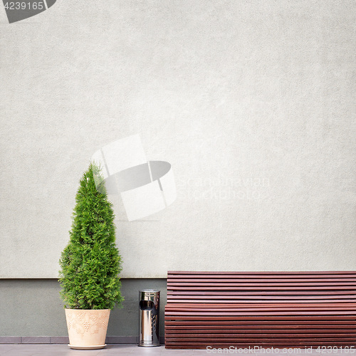 Image of brown bench, metal trash bin and thuja near the wall