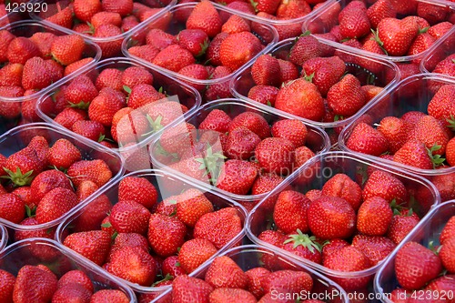 Image of Fresh strawberries