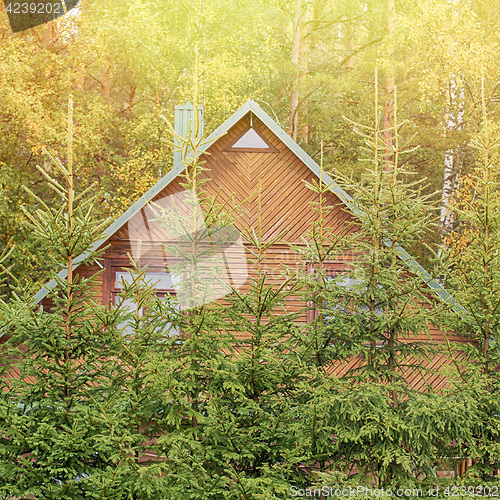 Image of Wooden house in the forest