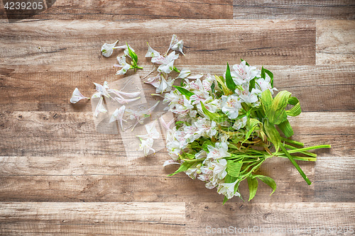 Image of withered flowers on the wooden floor