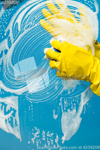 Image of Man in gloves washes glass