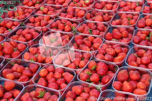 Image of Fresh strawberries