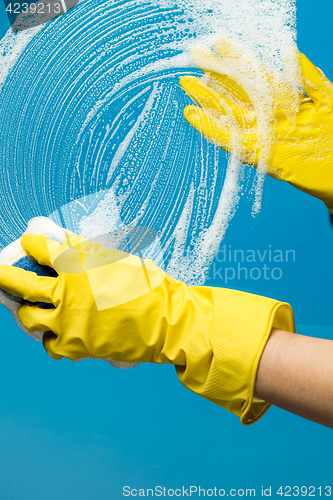 Image of Man in gloves washes glass