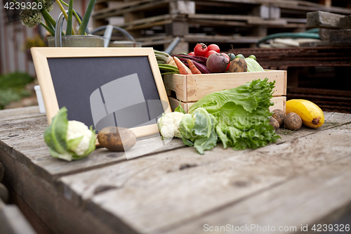 Image of close up of vegetables with chalkboard on farm