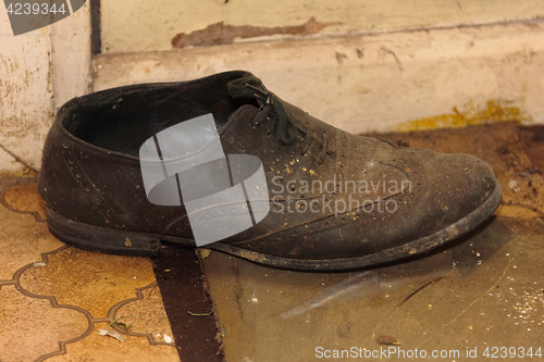 Image of Old Shoe