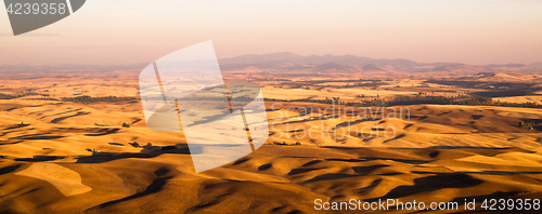 Image of Rolling Hills Agricultural Land Palouse Region Eastern Washingto