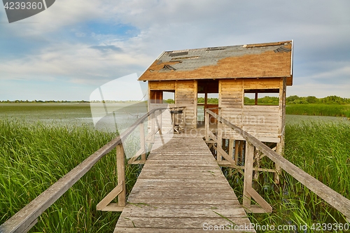 Image of Swamp walking path