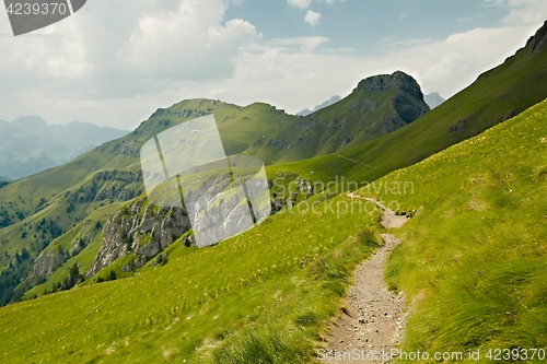 Image of Alpine Summer Landscape