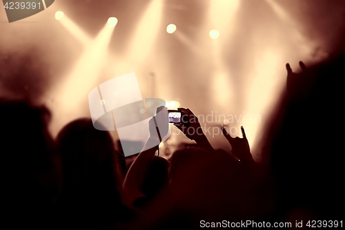 Image of Concert Crowd View