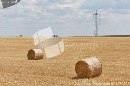Image of Agricultural field with bales
