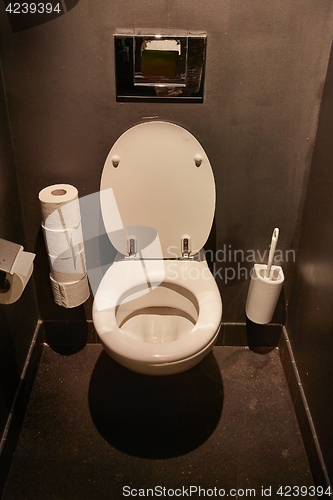 Image of Toilet seat open