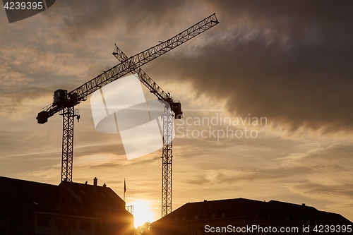 Image of Tall Construction Cranes