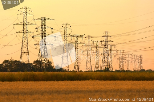 Image of Electric lines on land