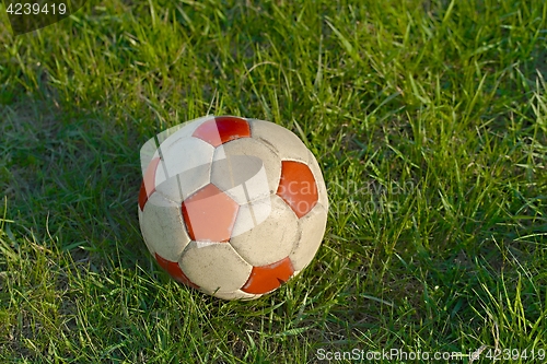 Image of Football on the grass