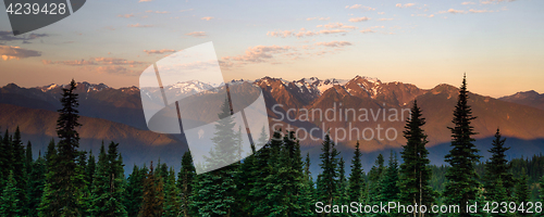 Image of Hurricane Ridge Olympic National Park Mountain Range Sunset