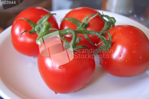 Image of Red tomatoes
